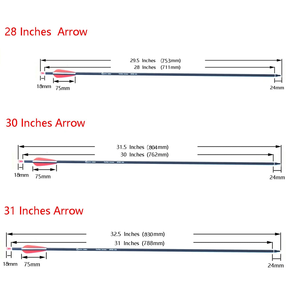 Carbon Arrows Hunting With Replaceable Arrowhead 28"/30"/31" Length