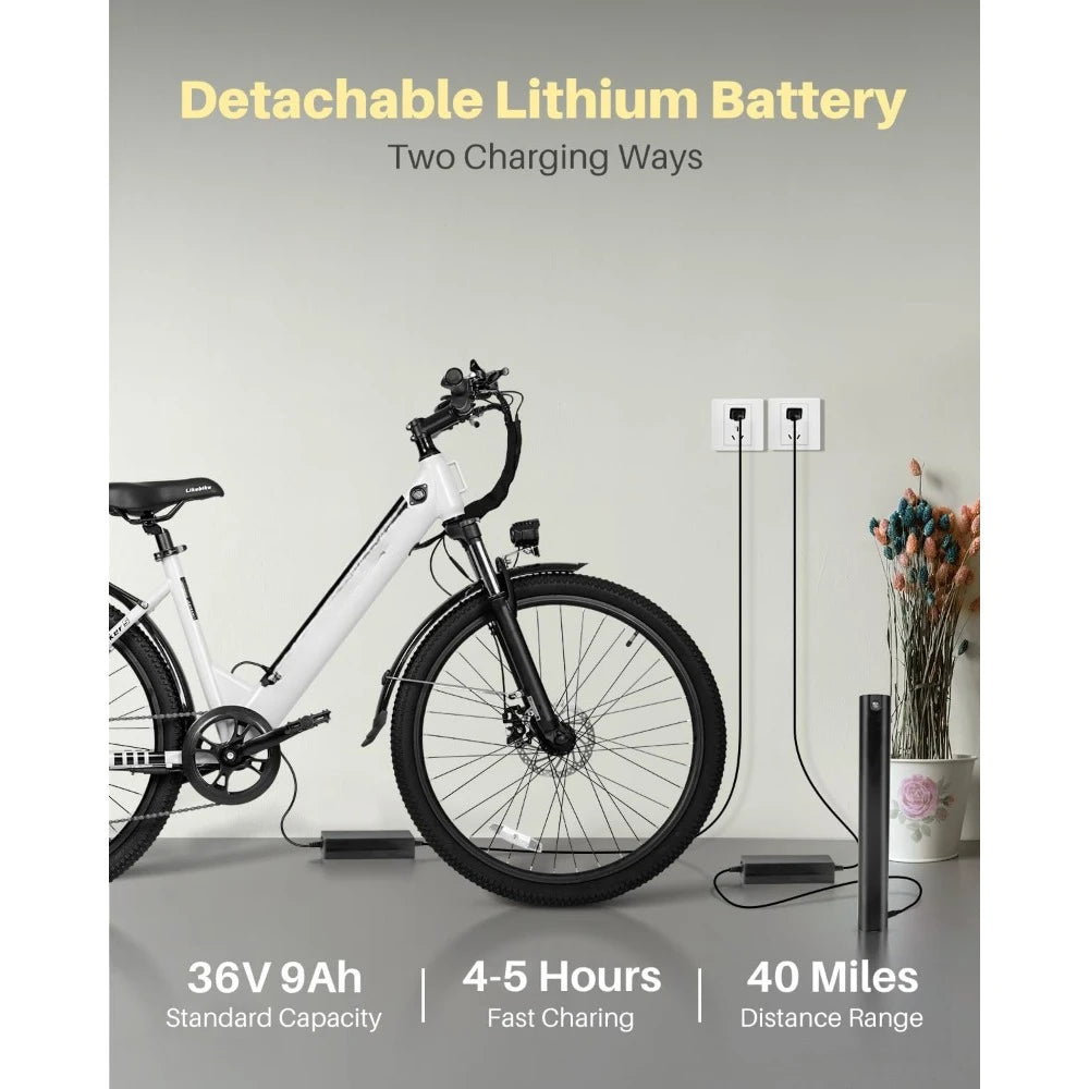 Electric Bike, Step Through Electric Bicycle