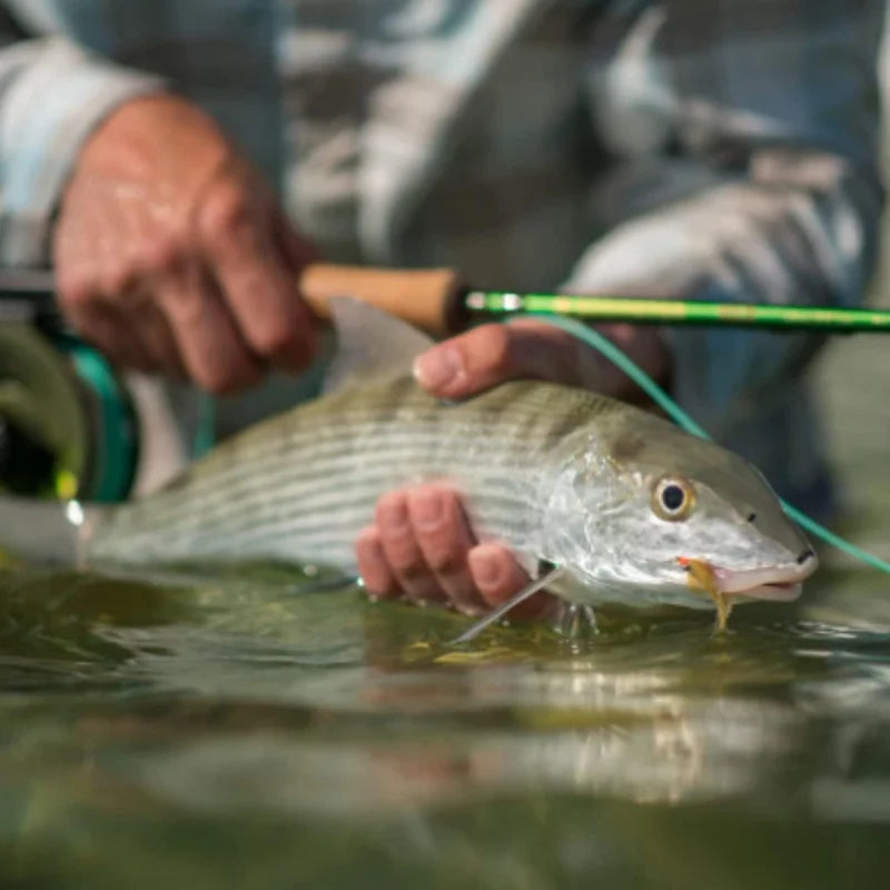 QRedington Fly Fishing with Tube ,Moderate Action